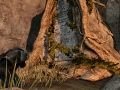 1421347238-12