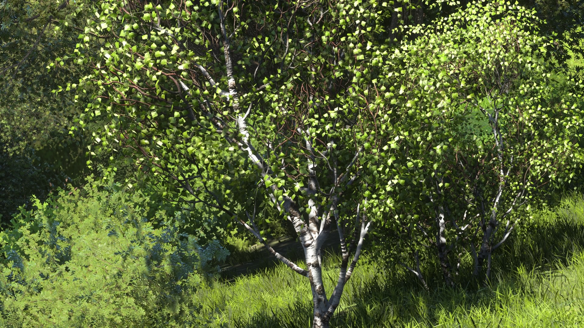 DRIVECLUBâ¢_20150124201316