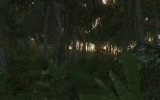 1196241954.jpg