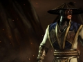1426083710-raiden.jpg