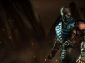 1426083710-sub-zero.jpg