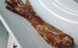 resident-evil-meat-1