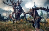 1371178405-the-witcher-3-wild-hunt