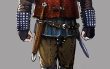 1371179395-vesemir-the-veteran-witcher
